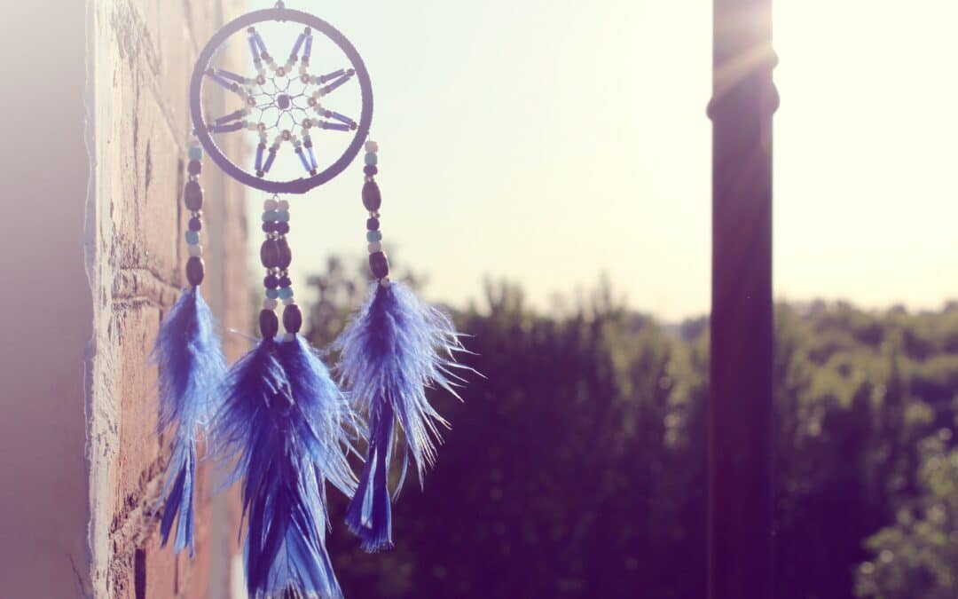 Create a Dreamcatcher with Bougie Birch